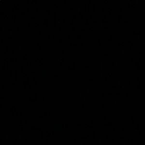 Meet your Posher, Jaydn